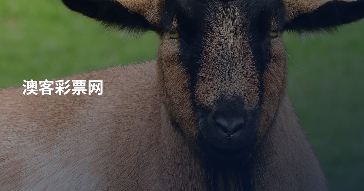 澳客彩票网