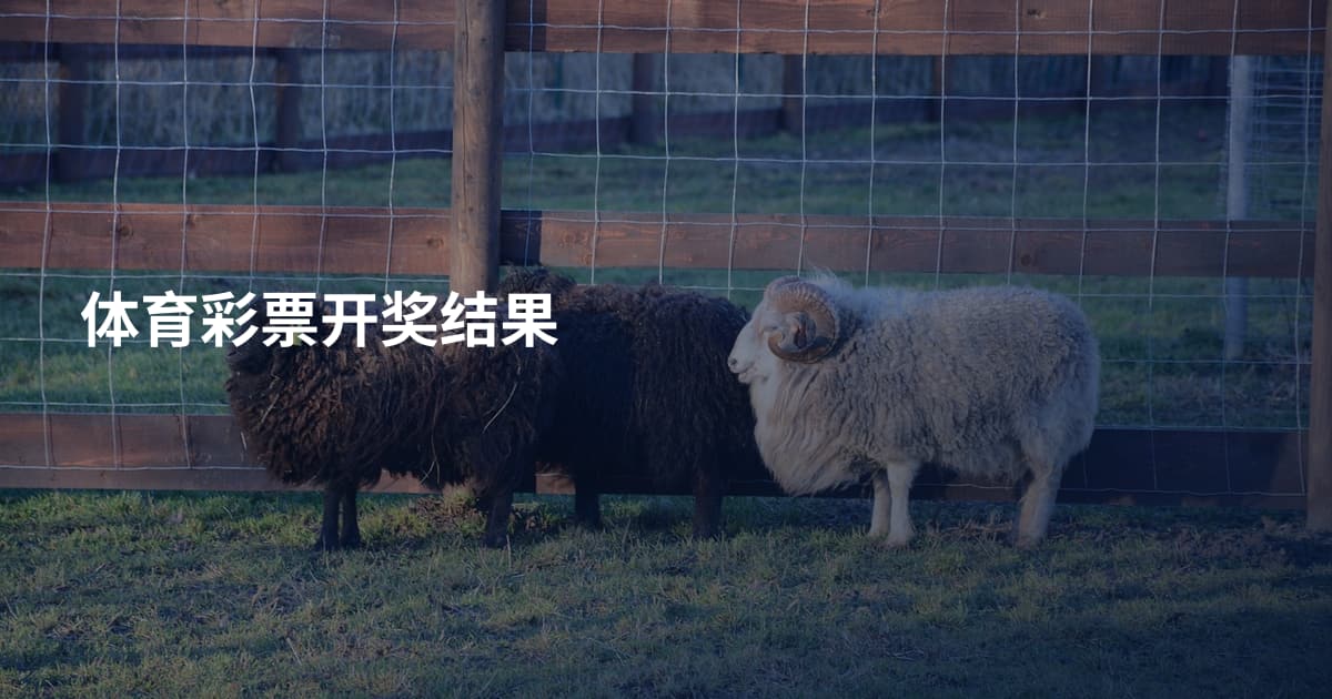 体育彩票开奖结果