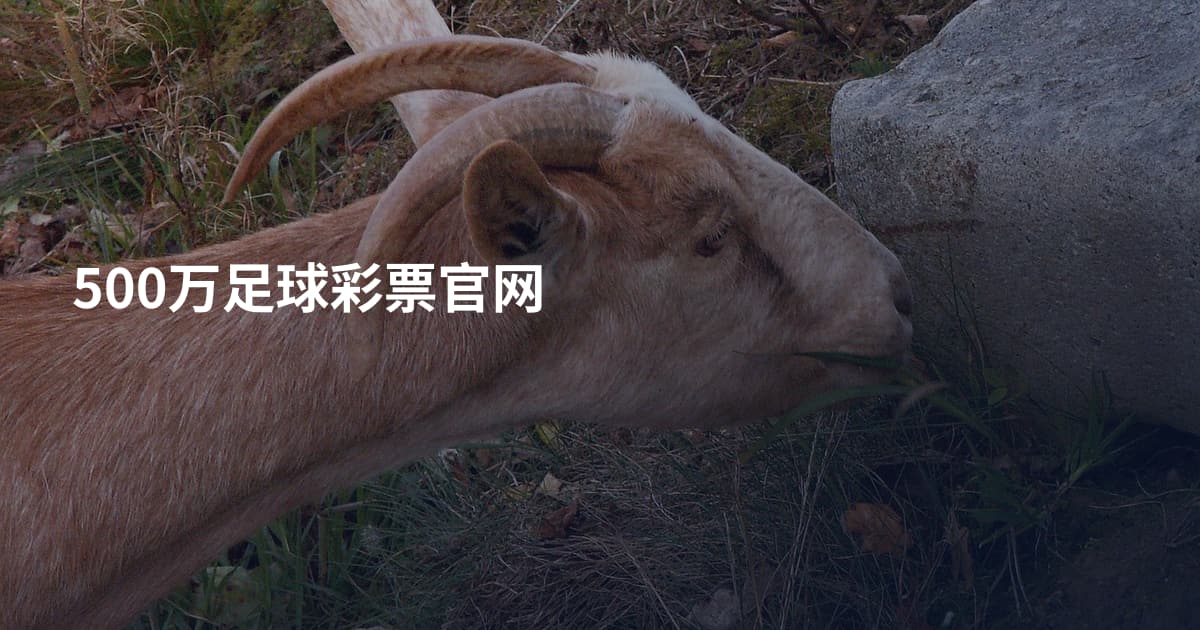 500万足球彩票官网
