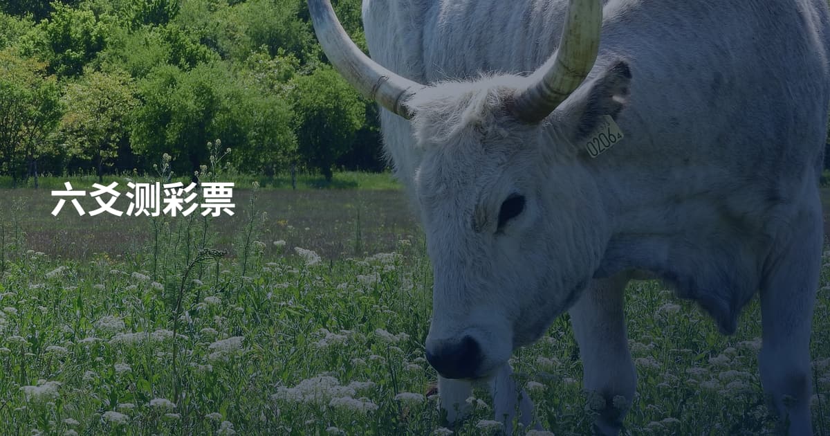 六爻测彩票