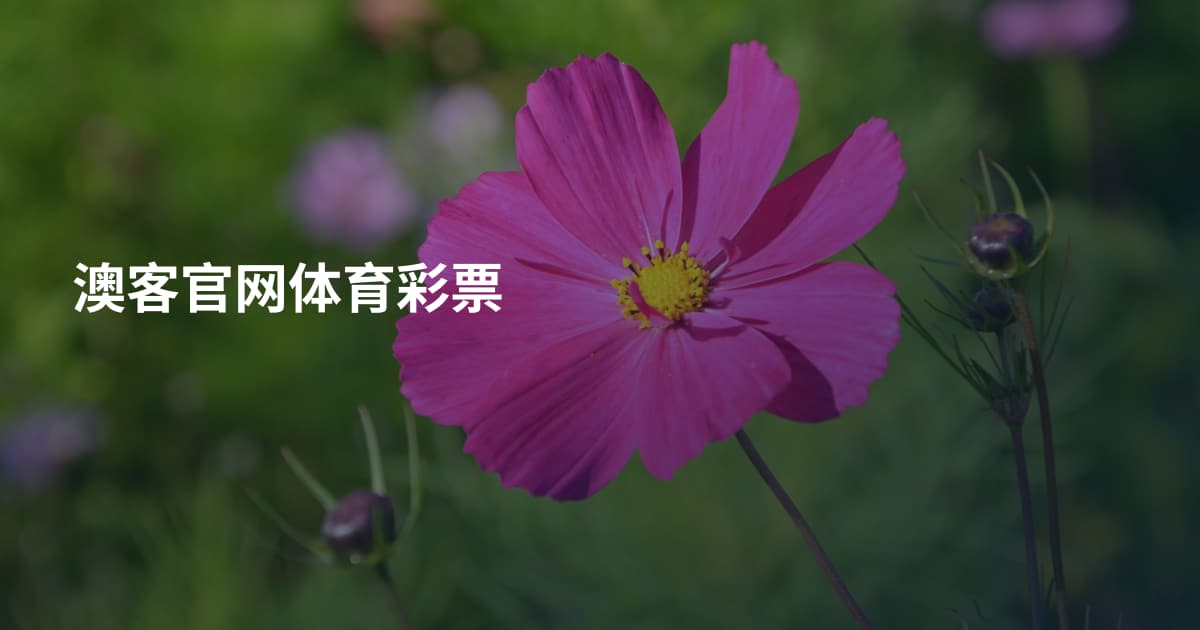澳客官网体育彩票