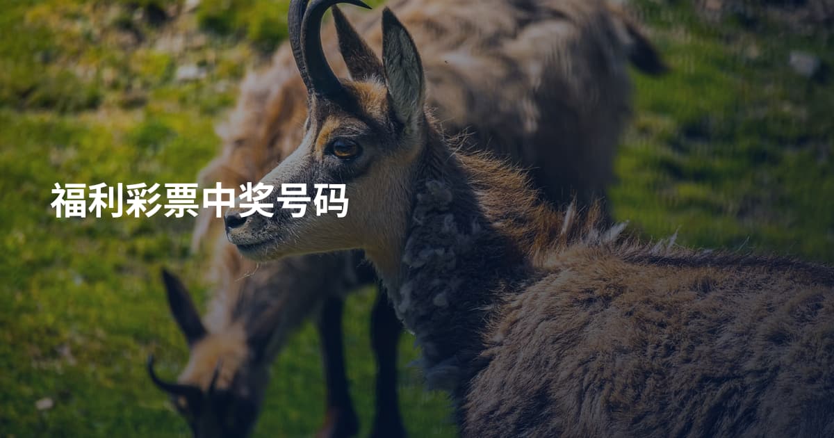 福利彩票中奖号码