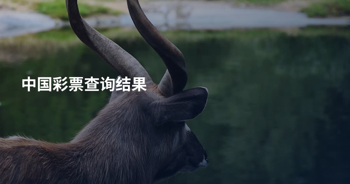 中国彩票查询结果