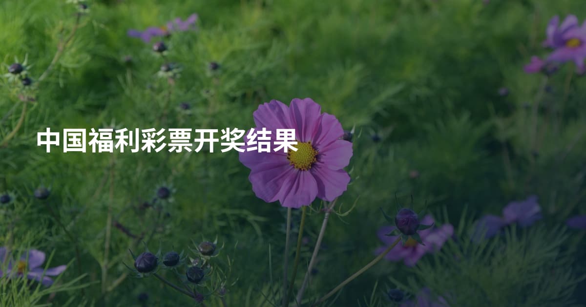 中国福利彩票开奖结果