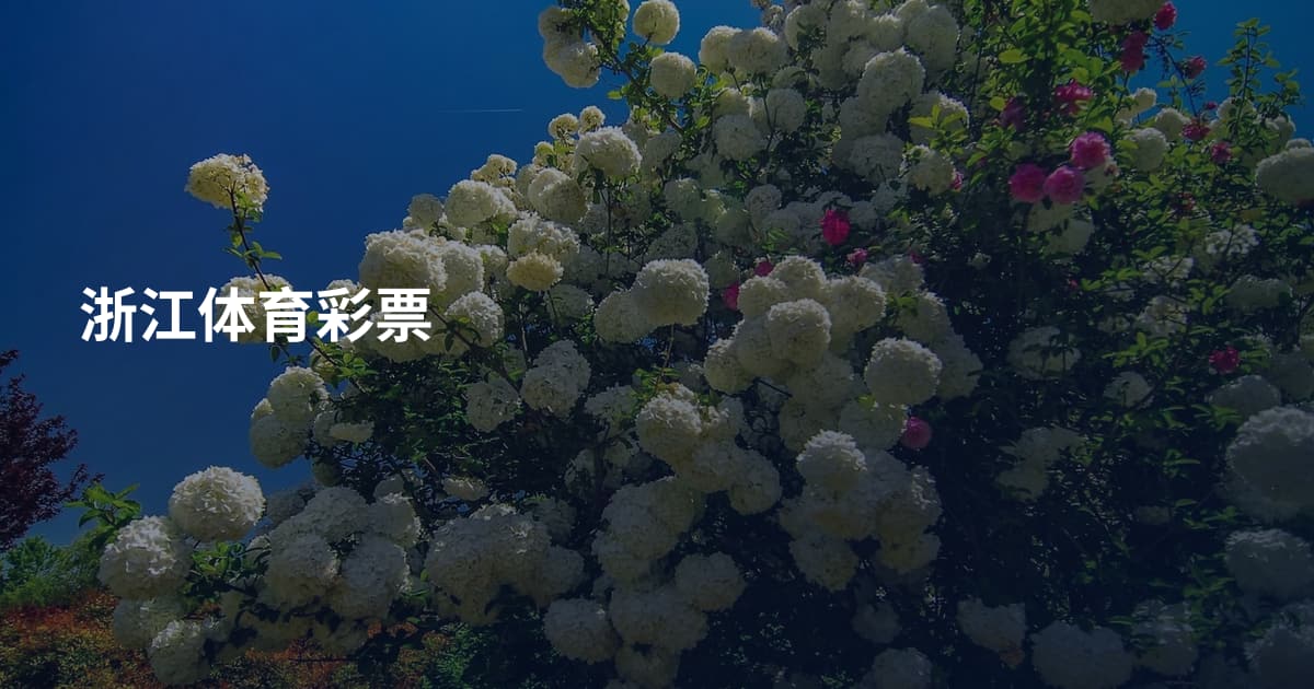 浙江体育彩票