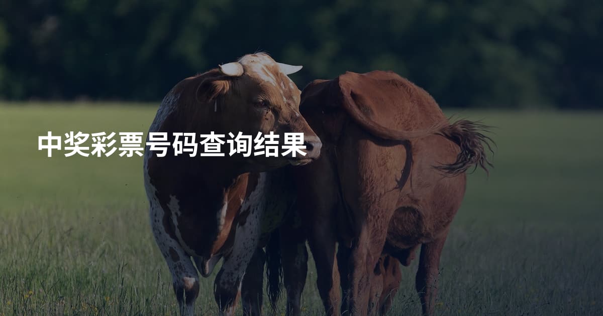 中奖彩票号码查询结果