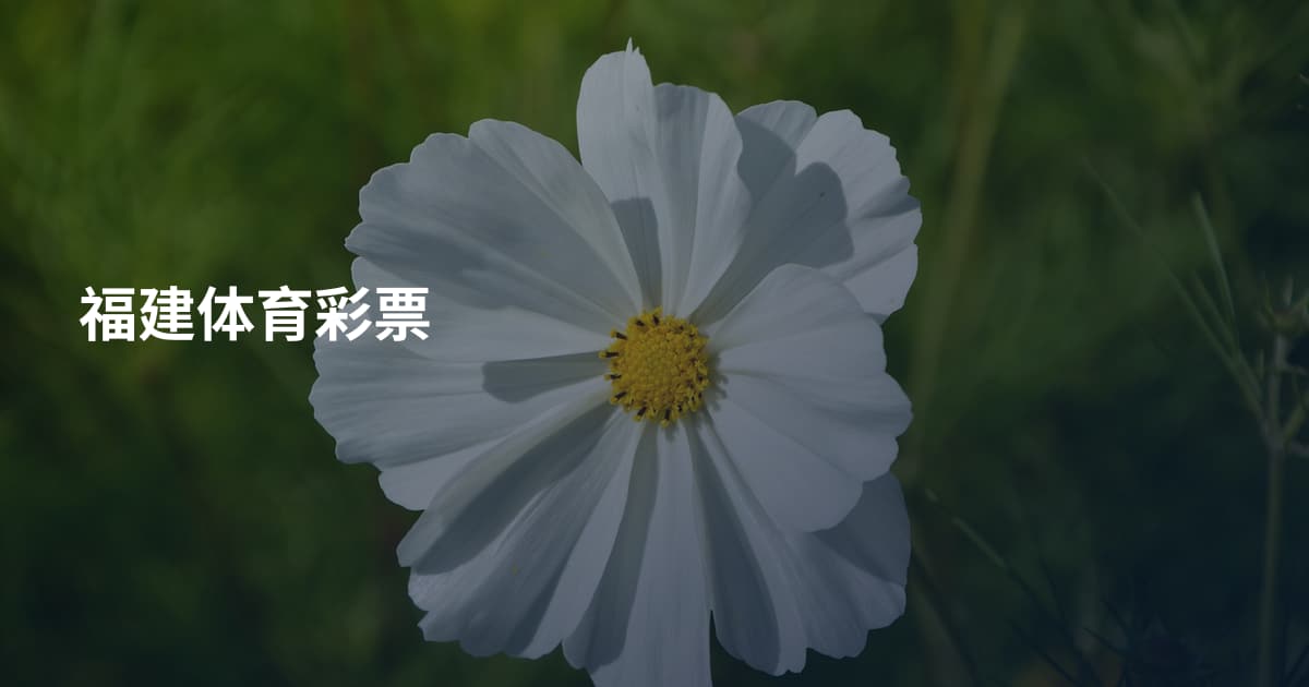 福建体育彩票