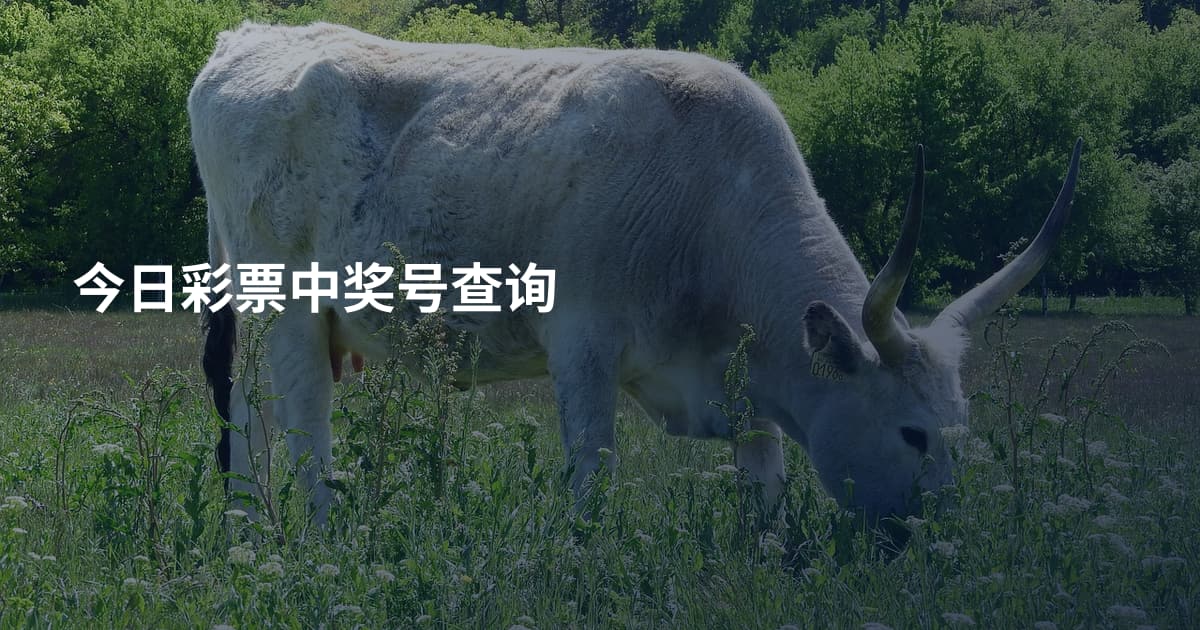 今日彩票中奖号查询