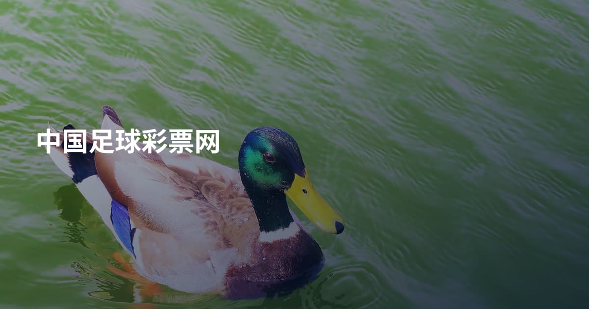 中国足球彩票网