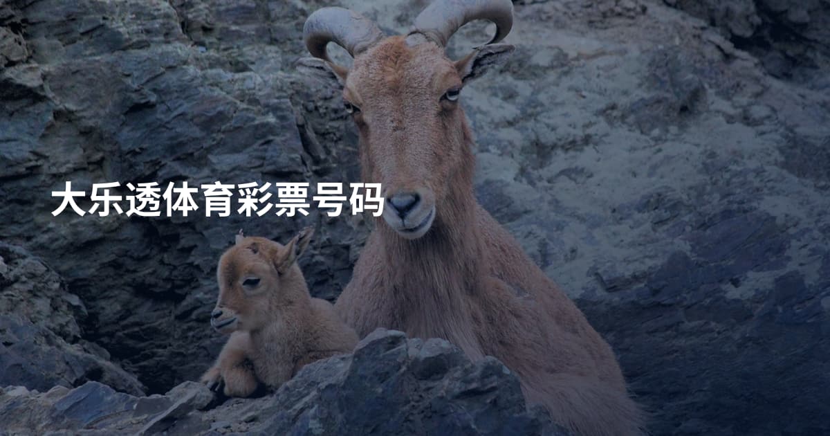 大乐透体育彩票号码