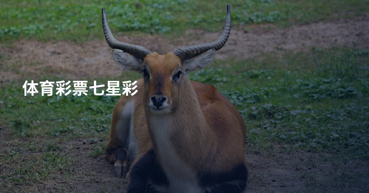 体育彩票七星彩