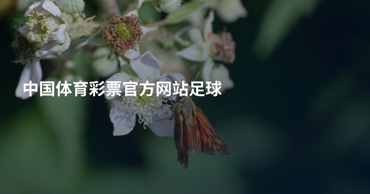 中国体育彩票官方网站足球