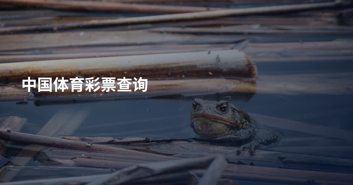中国体育彩票查询