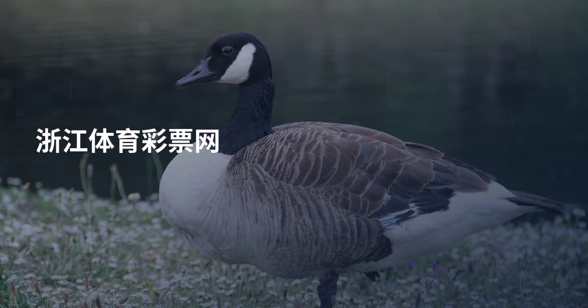 浙江体育彩票网