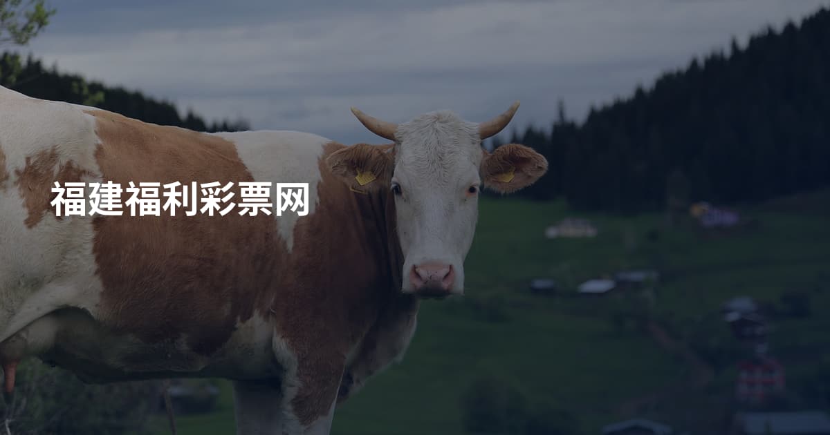 福建福利彩票网