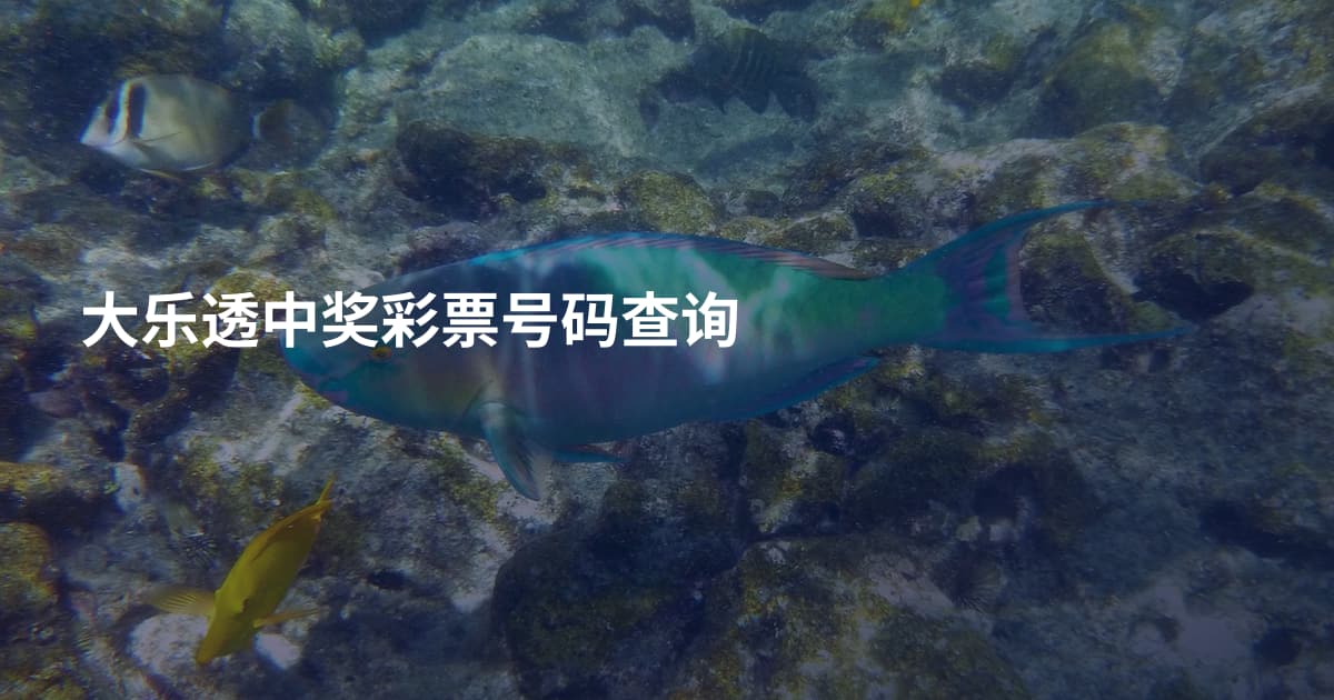 大乐透中奖彩票号码查询