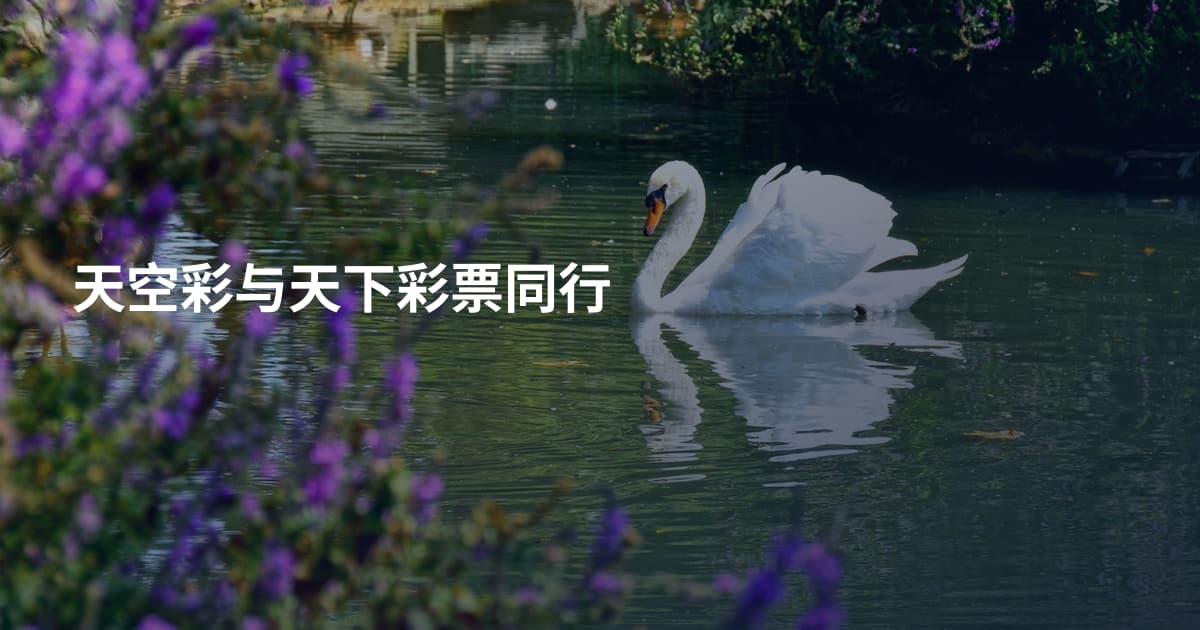 天空彩与天下彩票同行