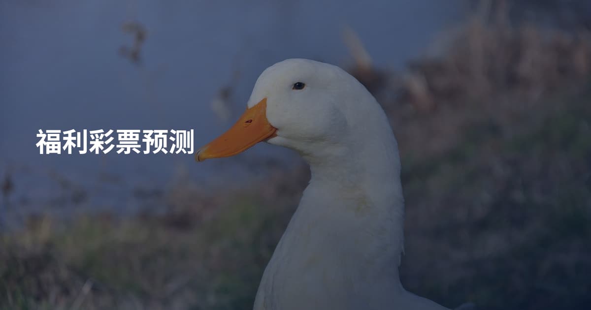 福利彩票预测