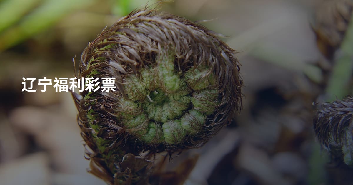 辽宁福利彩票