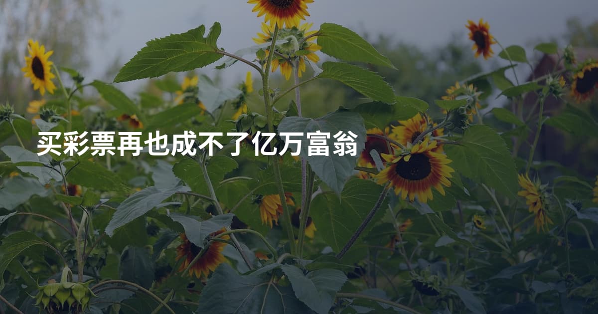 买彩票再也成不了亿万富翁