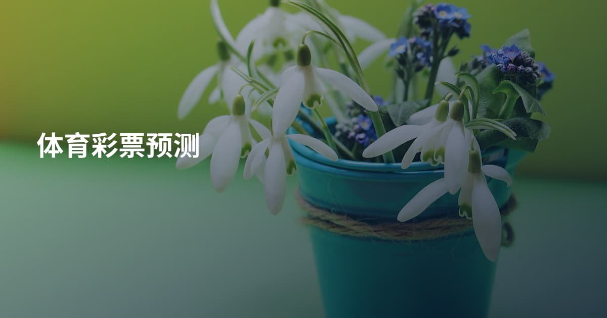 体育彩票预测
