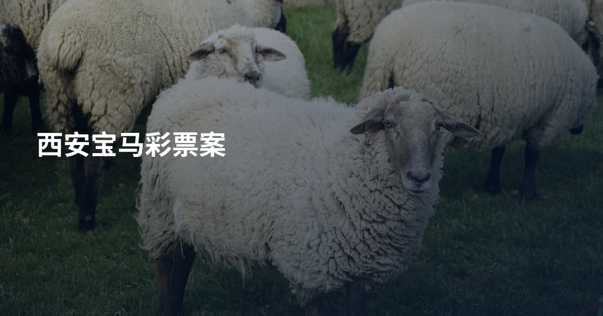 西安宝马彩票案