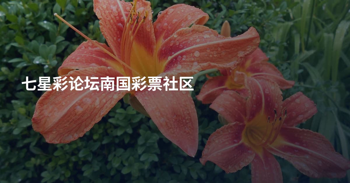 七星彩论坛南国彩票社区