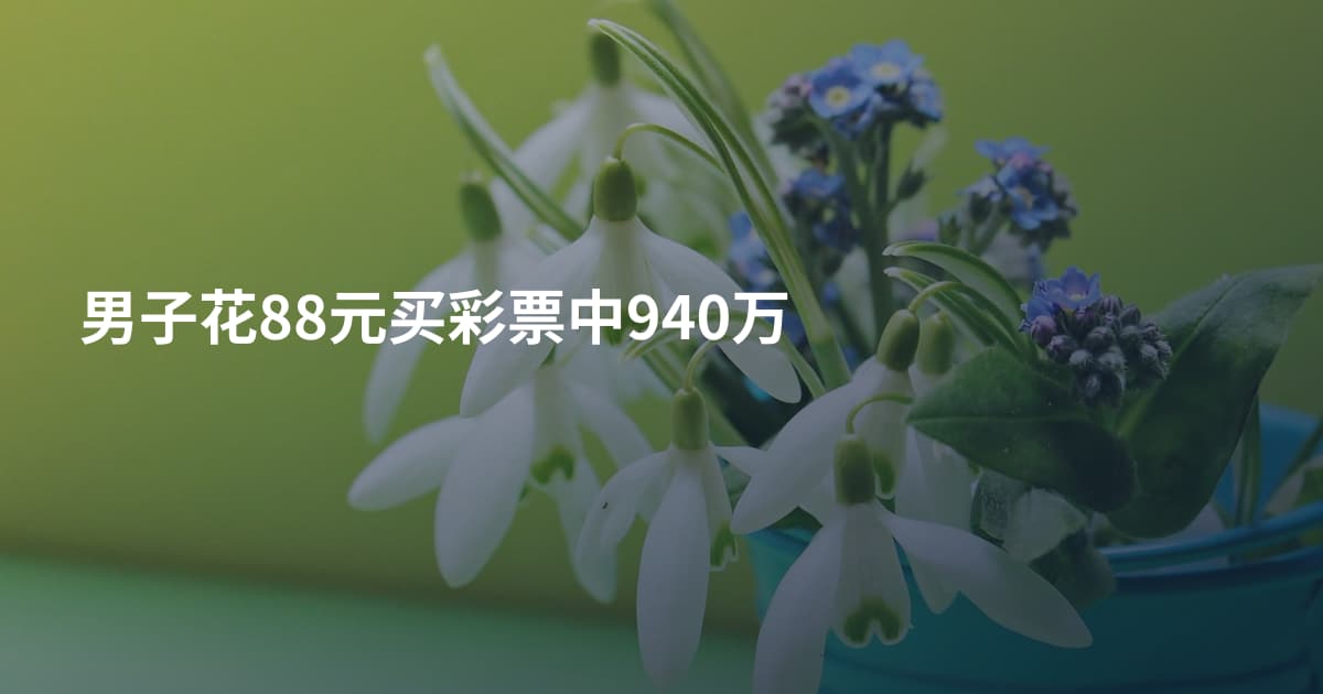 男子花88元买彩票中940万