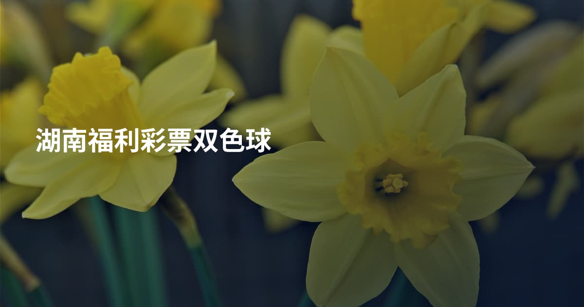 湖南福利彩票双色球