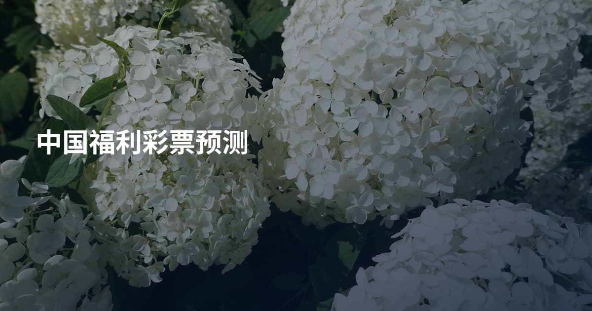 中国福利彩票预测