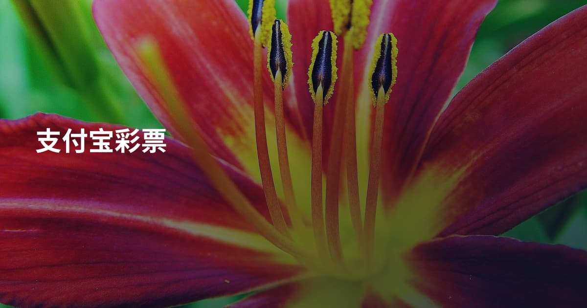 支付宝彩票