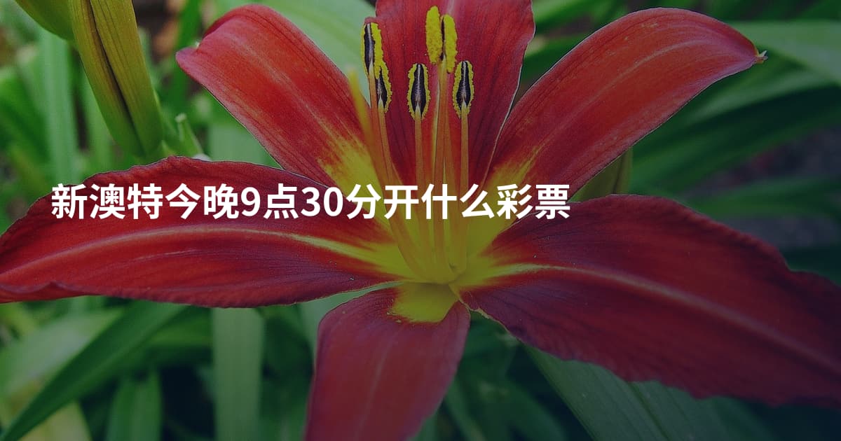 新澳特今晚9点30分开什么彩票