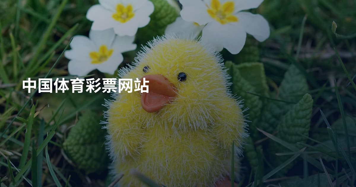 中国体育彩票网站