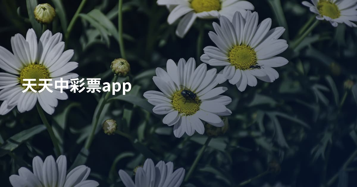 天天中彩票app