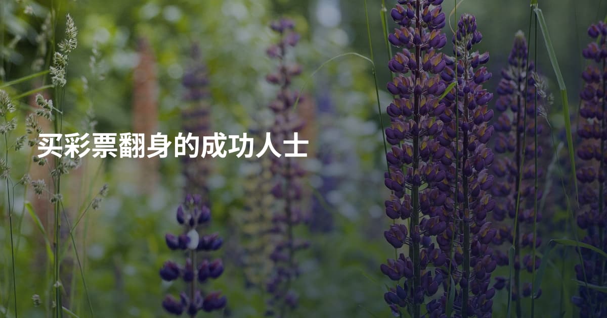 买彩票翻身的成功人士