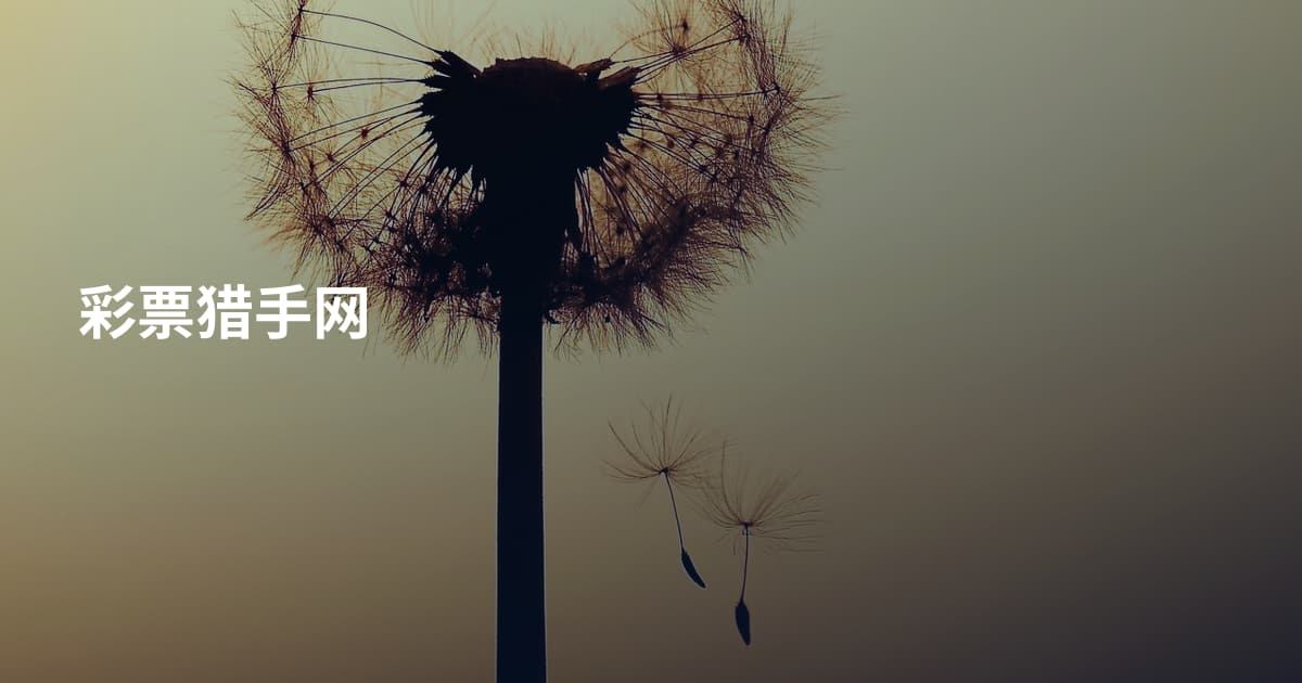 彩票猎手网