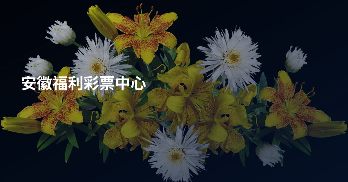 安徽福利彩票中心
