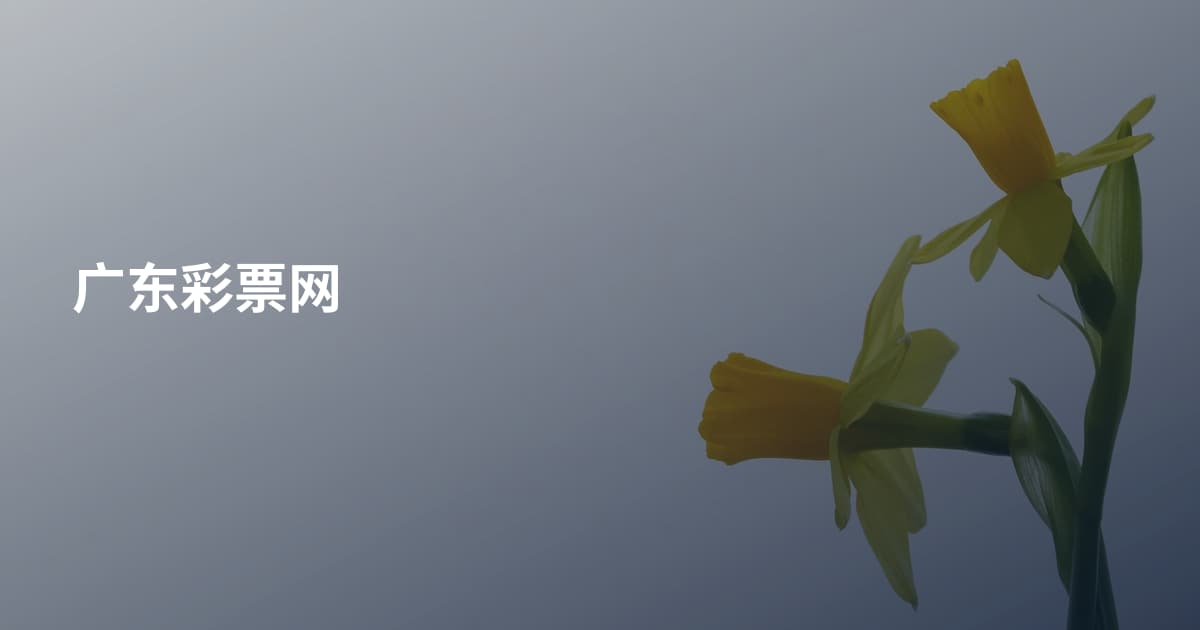 广东彩票网