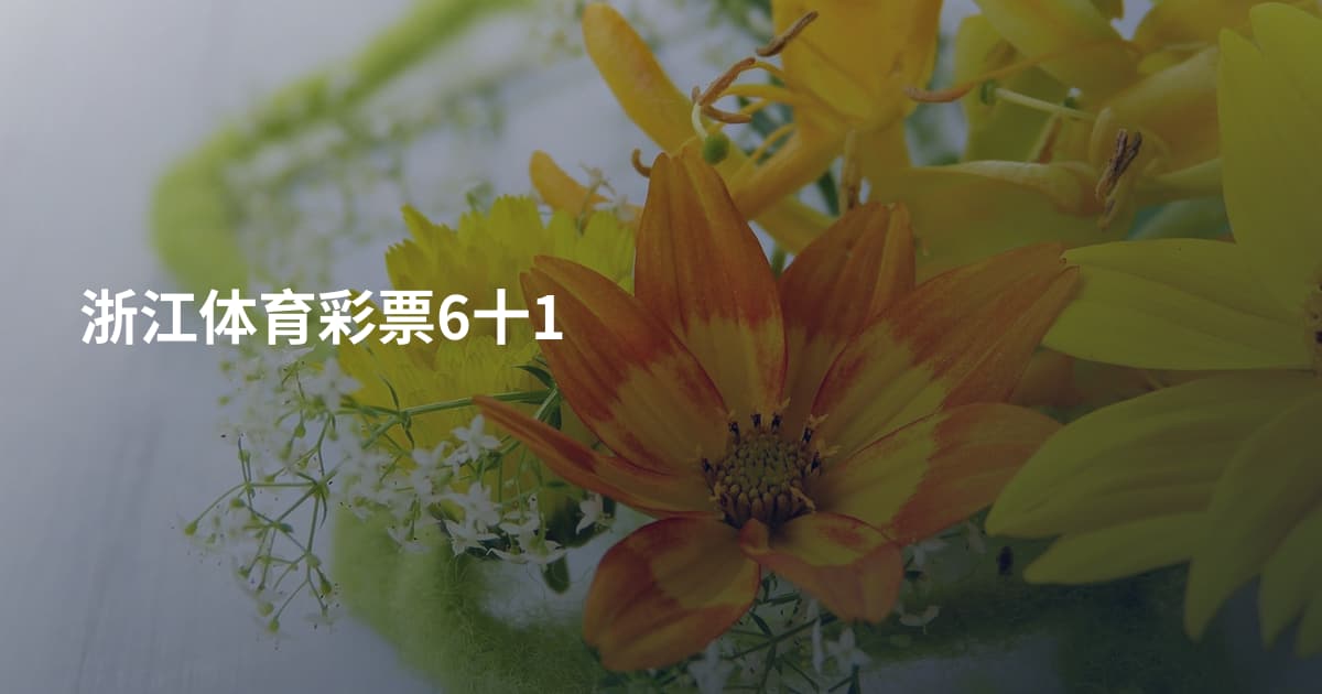 浙江体育彩票6十1