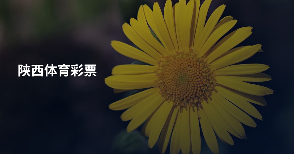 陕西体育彩票