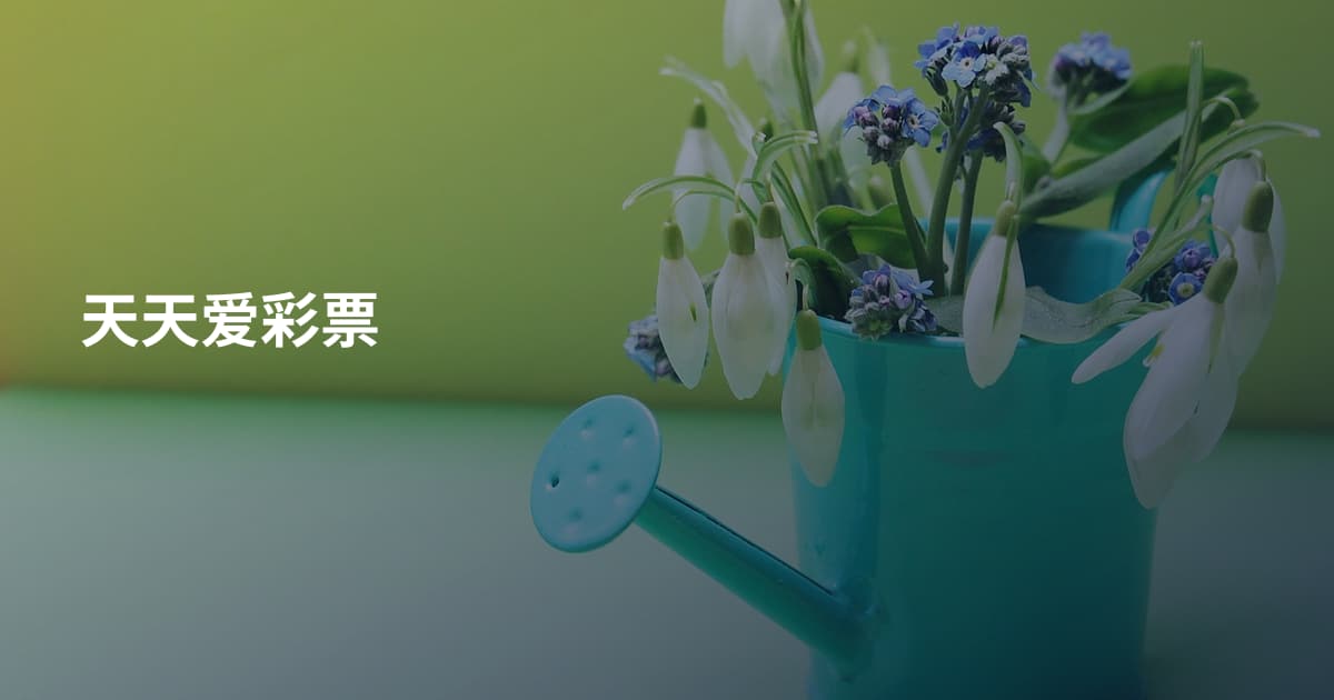 天天爱彩票