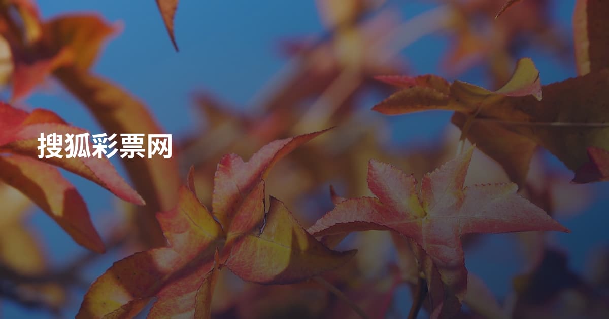 搜狐彩票网