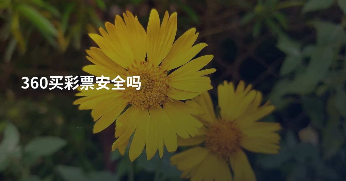 360买彩票安全吗