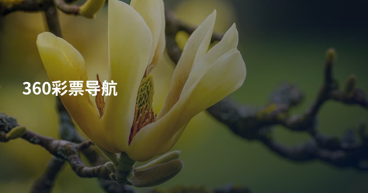 360彩票导航