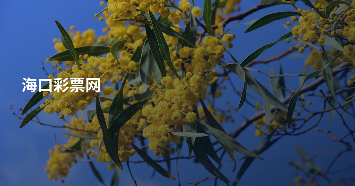 海口彩票网