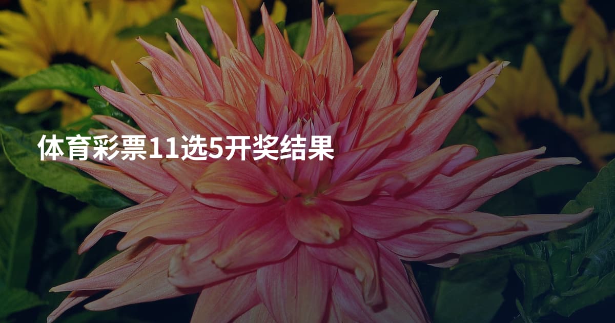 体育彩票11选5开奖结果