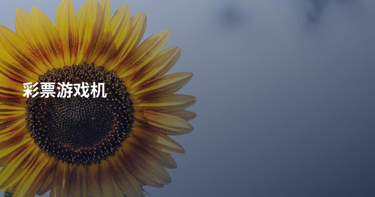 彩票游戏机