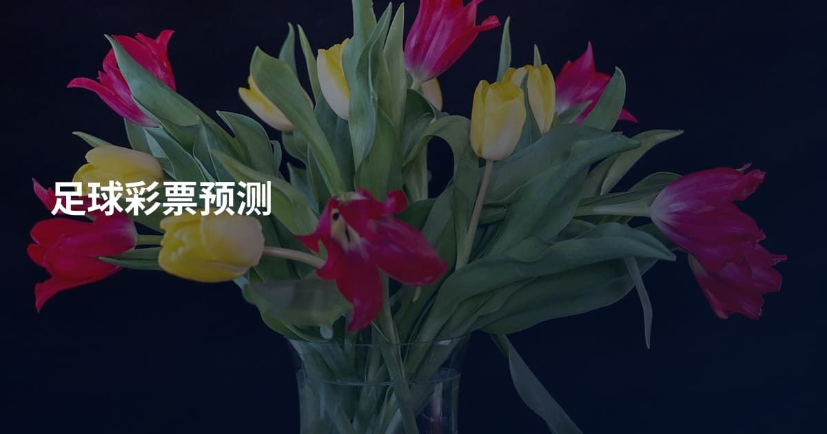 足球彩票预测