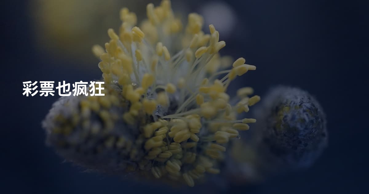 彩票也疯狂