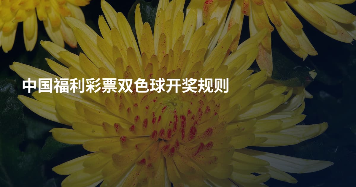 中国福利彩票双色球开奖规则